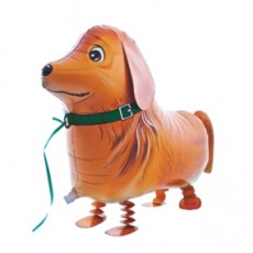 CĂȚEL GOLDEN RETRIEVER - BALON FOLIE FIGURINA, MODEL WALKING, 73CM CĂȚEL GOLDEN RETRIEVER - BALON FOLIE FIGURINA, MODEL WALKING, 73CM